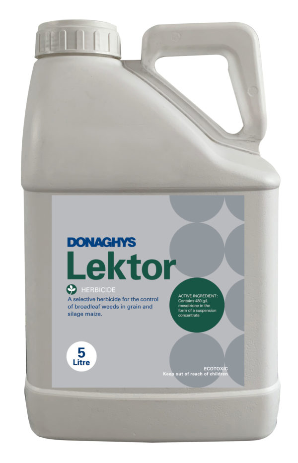 Lektor
