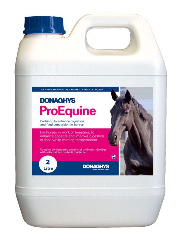 ProEquine